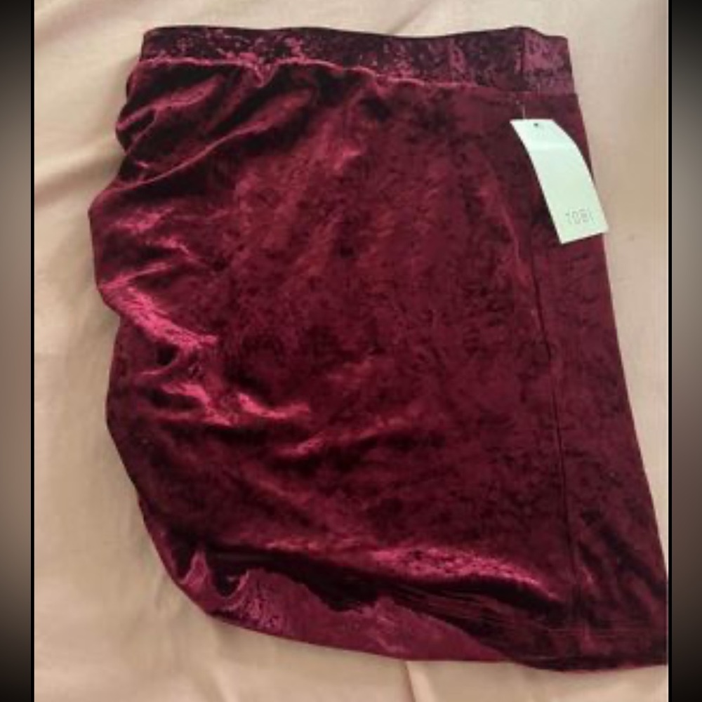 NWT velvet skirt